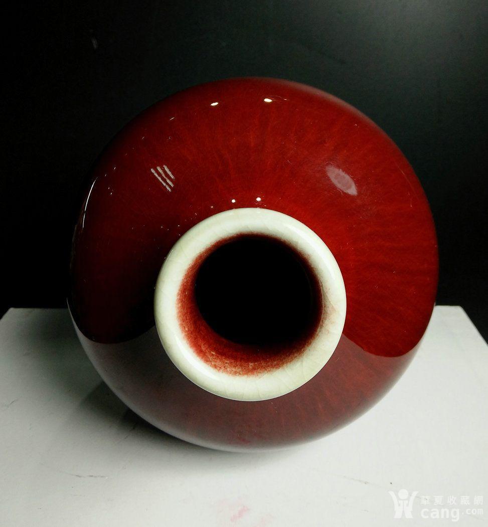 1955年中科院冶金陶瓷研究所敬赠钧红釉梅瓶 郎红c9035