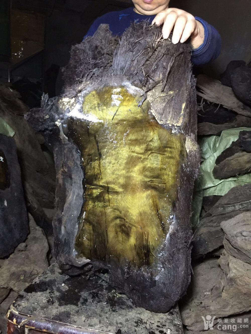 金丝楠木阴沉木乌木水波纹木料