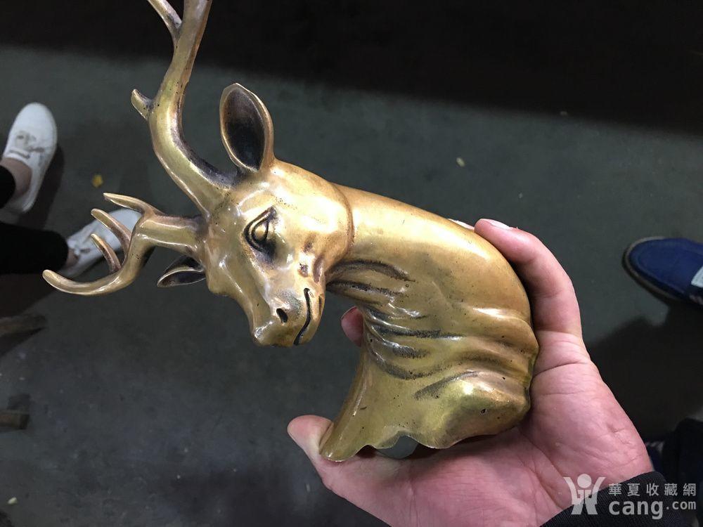 老铜鹿头