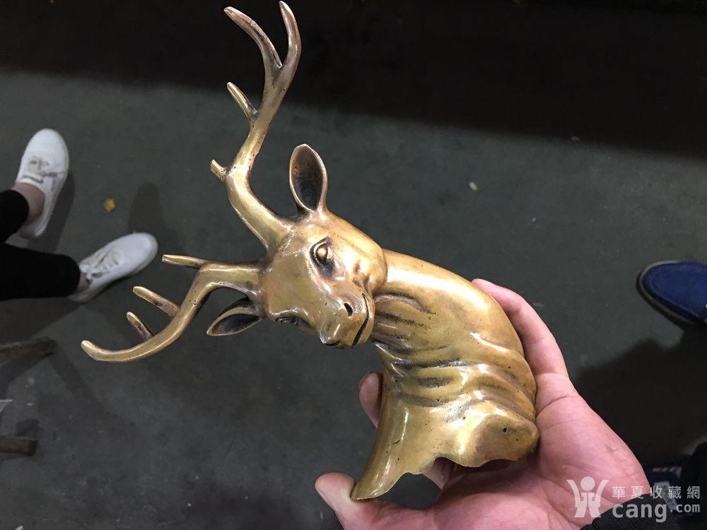 老铜鹿头