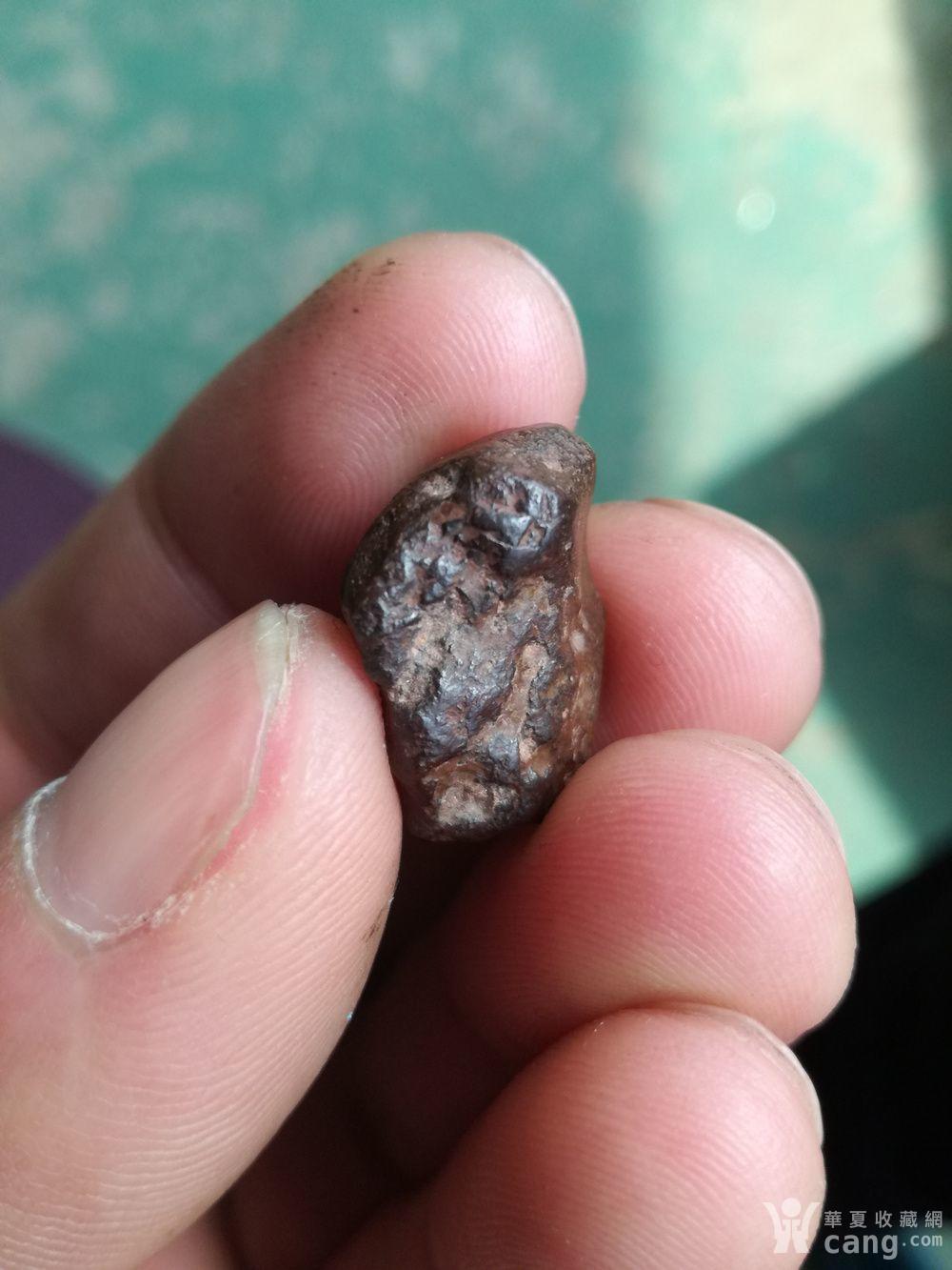 自己捡的四块小陨石