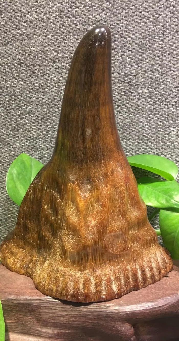 极品老亚 x 183 j大尖子