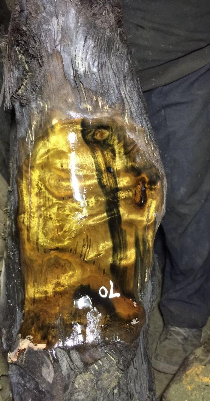 金丝楠木阴沉木乌木水波纹木料